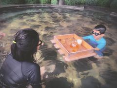 -清水湾足道馆