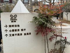 -芭东小镇温泉