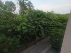 -浙江农林大学(东湖校区)