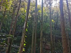 -狼山风景名胜区