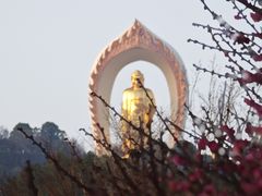-庐山风景名胜区-东林大佛