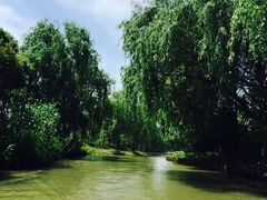 -同里国家湿地公园