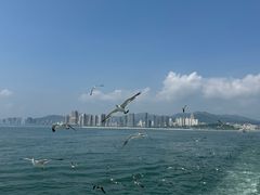 -刘公岛景区