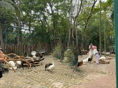 -西双版纳傣族园