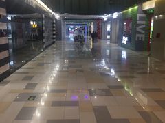 -鹏欣水游城