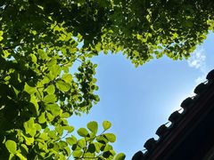 -杭州黄龙洞