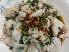 -金龙寨(龙城路店)