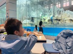 -帝企鹅自助餐厅•儿童岛•真企鹅(长隆企鹅酒店)