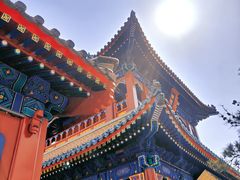 -天津大悲禅院