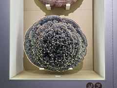 -北京中医药大学-中医药博物馆