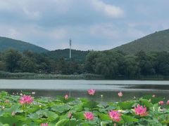 -云龙湖旅游景区