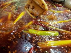 -星鸿社重庆老火锅(燃灯寺分店)