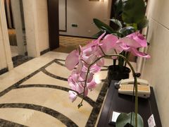 -甸园锦江宾馆(北外滩店)