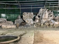 -八景休閒山莊  廣東十大名山莊