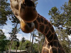 -清迈夜间动物园