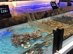 -同庆楼(滨湖万达广场店)