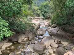 -广州白江湖森林公园