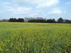 -光明小镇欢乐田园