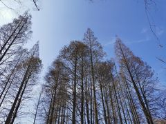 -中山公园