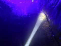 -地心探险极地