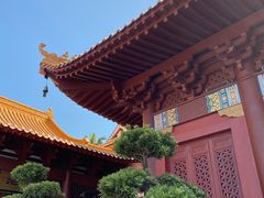 -深圳仙湖植物园