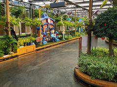 -南宫五洲植物乐园