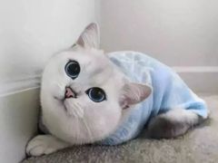 -美优乐(南油海东小学店)