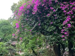 -成都杜甫草堂博物馆