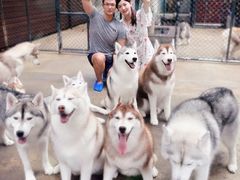 -TrueLove @ Neverland (Husky Cafe)