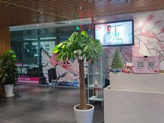 -樱花国际日语(徐家汇中心)