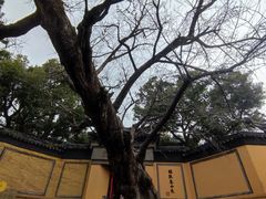 -无锡惠山寺