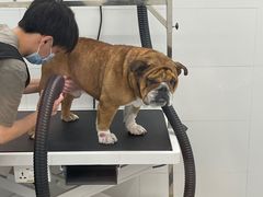 -comecome来吧宠物(奥克斯中心店)