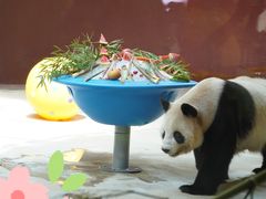 -杭州野生动物世界