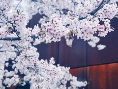 -龙美术馆(西岸馆)