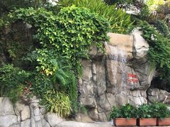-九龙公园