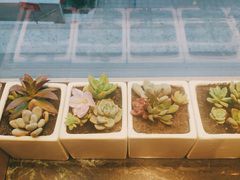 -王红军龙虾(盐仓桥店)