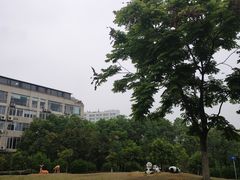 -沙河三洞古桥公园
