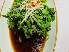 -雲蜀龙阁·金牌水煮鱼(方庄店)