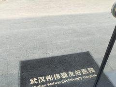 -伟伟宠物医院·瑞派猫友好医院·猫科(光谷店)
