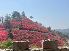 -木兰云雾山