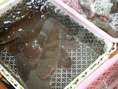 -南沙十九涌渔人码头-南门