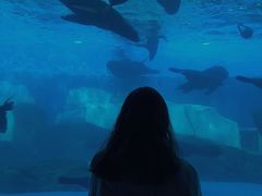 -上海海昌海洋公园-停车场