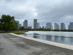 -尚贤河湿地