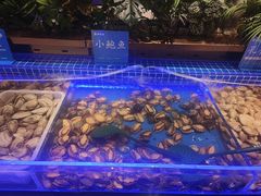 -鼎香缘海鲜自助火锅烤肉(锦辉购物广场店)