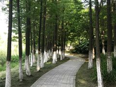 -暨阳湖生态园