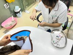 -瑞派动物医院·猫专科·至诚(江南中分院)