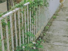 -香洲区图书馆(乐士文化区店)