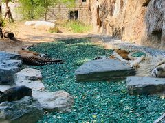 -北京野生动物园