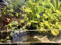 -牛品福潮汕牛肉火锅(旺庄店)