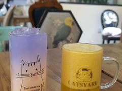 -猫小院猫主题餐厅(南锣旗舰店)